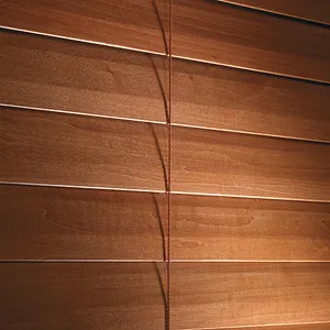 Beautiful living room with custom window blinds